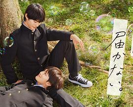 seo外链怎么发呢